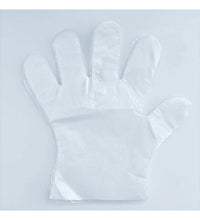 Ambitex Polyethylene Disposable Gloves – Food Safe, Deli Gloves, Powder-Free, 500/Box - Eagle Global Solution