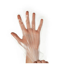 Ambitex Polyethylene Disposable Gloves – Food Safe, Deli Gloves, Powder-Free, 500/Box - Eagle Global Solution